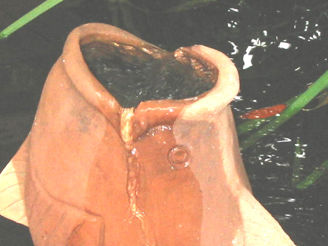 fishfountaincloseup.jpg