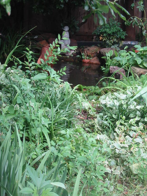 gardenpond.jpg